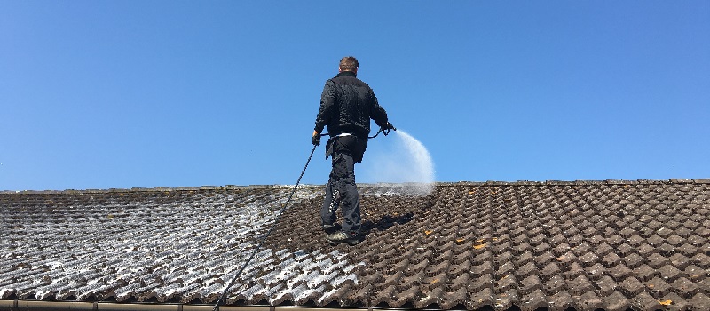 Roof Cleaning in Avondale PA